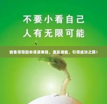 销售领导励志语录集锦,激发潜能,引领成功之路!