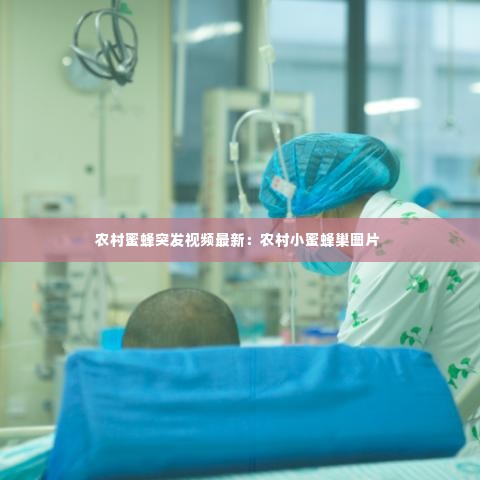 农村蜜蜂突发视频最新:农村小蜜蜂巢图片