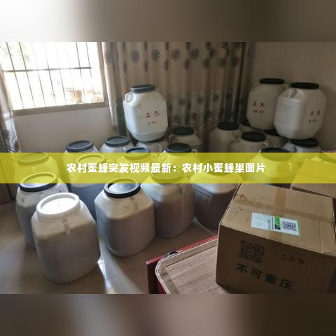 农村蜜蜂突发视频最新:农村小蜜蜂巢图片