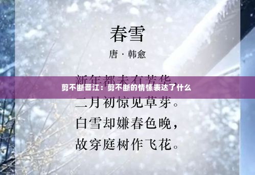 剪不断晋江:剪不断的情愫表达了什么