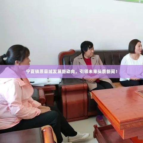宁夏镇原县域发展新动向，引领未来头条新闻！