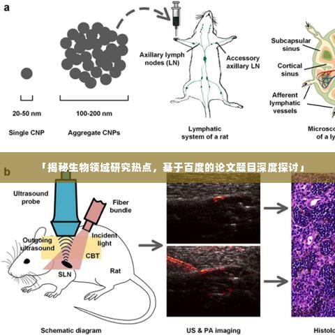 「揭秘生物领域研究热点,基于百度的论文题目深度探讨」