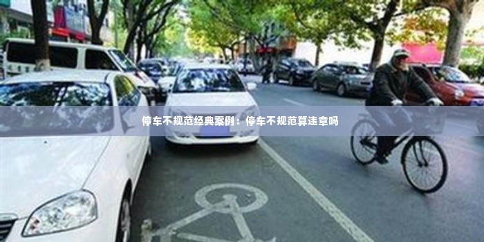 停车不规范经典案例：停车不规范算违章吗 