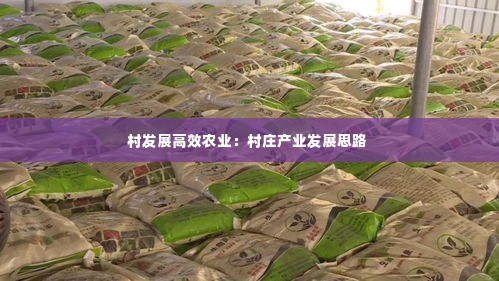 村发展高效农业:村庄产业发展思路