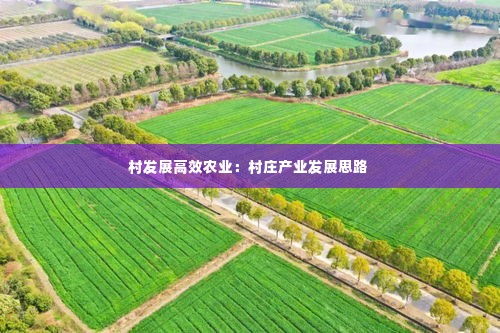 村发展高效农业:村庄产业发展思路