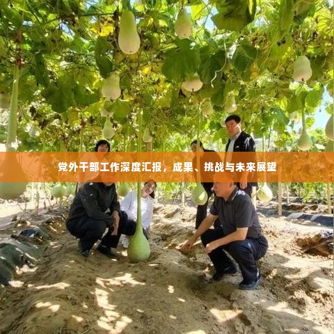 党外干部工作深度汇报,成果、挑战与未来展望