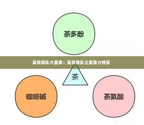高效团队六要素：高效团队三要素六特征 