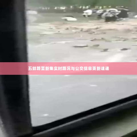 五蚌路至新集实时路况与公交信息更新速递