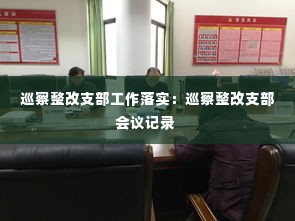 巡察整改支部工作落实:巡察整改支部会议记录