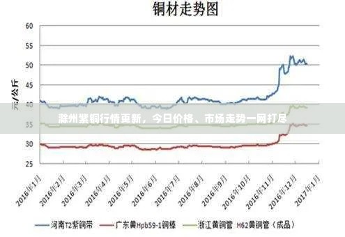 滁州紫铜行情更新，今日价格、市场走势一网打尽