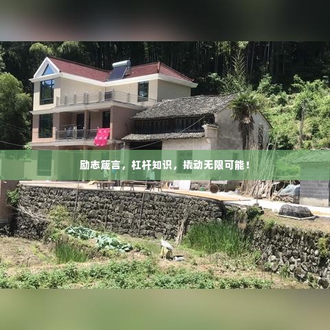 下马看花 第3页