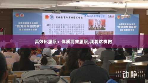 高效化履职：优质高效履职,我将这样做 