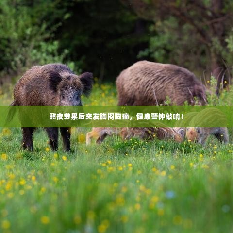 熬夜劳累后突发胸闷胸痛，健康警钟敲响！