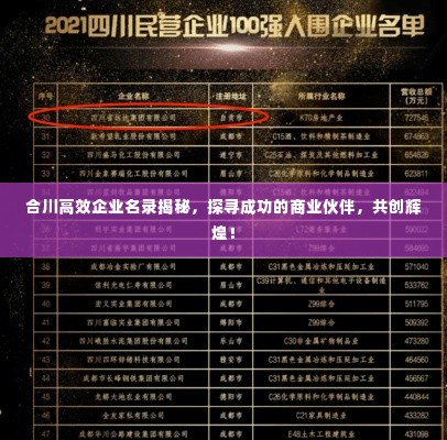 合川高效企业名录揭秘,探寻成功的商业伙伴,共创辉煌!