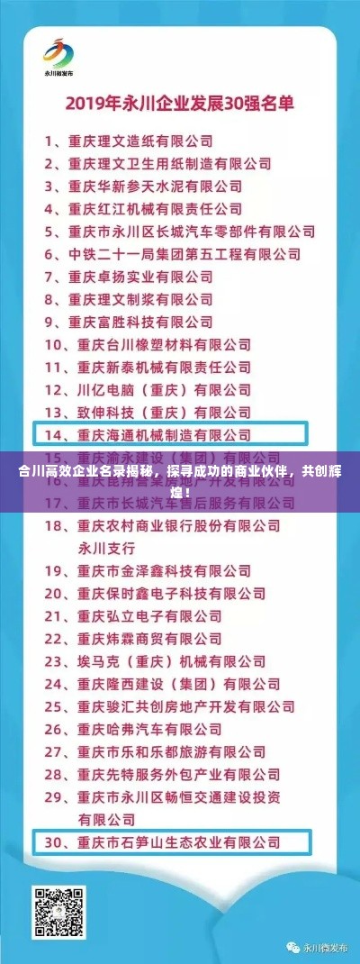 合川高效企业名录揭秘,探寻成功的商业伙伴,共创辉煌!