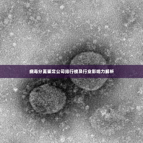 病毒分离鉴定公司排行榜及行业影响力解析