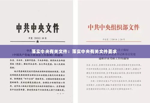 落实中央有关文件:落实中央有关文件要求