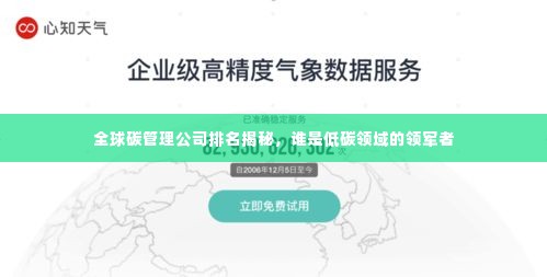 全球碳管理公司排名揭秘，谁是低碳领域的领军者