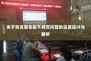关于党支部名称不规范问题的深度探讨与解析