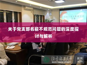 关于党支部名称不规范问题的深度探讨与解析