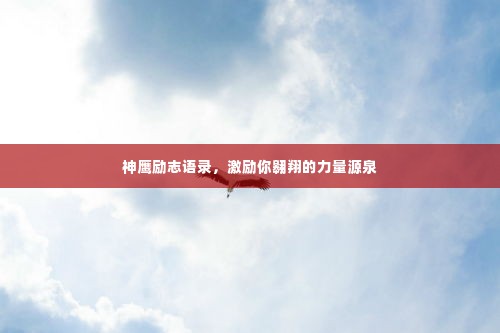 神鹰励志语录,激励你翱翔的力量源泉