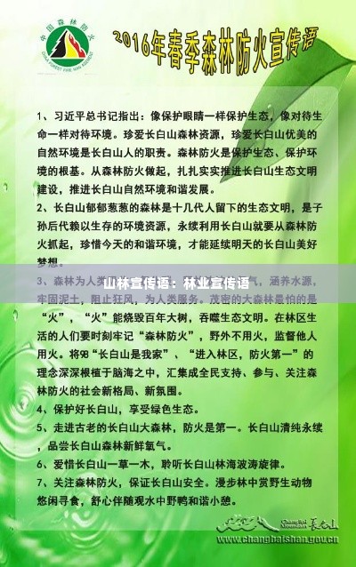 山林宣传语：林业宣传语 