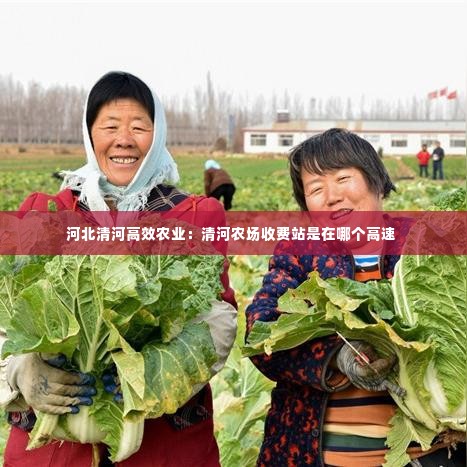 河北清河高效农业：清河农场收费站是在哪个高速 