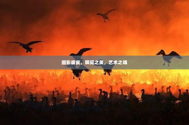 摄影盛宴,瞬间之美,艺术之魂