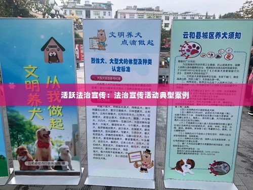 活跃法治宣传:法治宣传活动典型案例