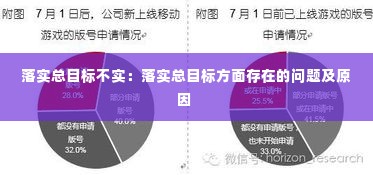 落实总目标不实：落实总目标方面存在的问题及原因 