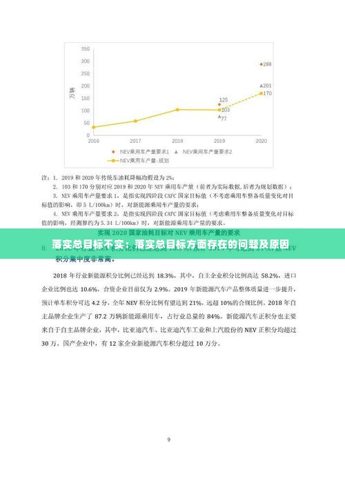 落实总目标不实:落实总目标方面存在的问题及原因