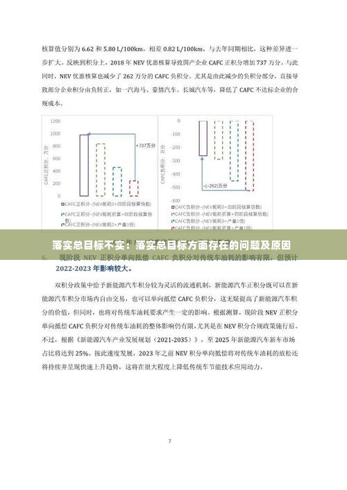 落实总目标不实:落实总目标方面存在的问题及原因