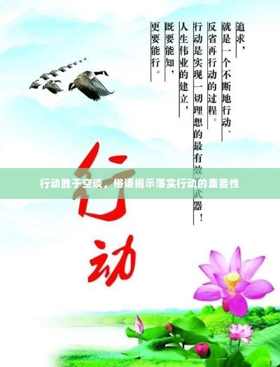 行动胜于空谈，俗语揭示落实行动的重要性