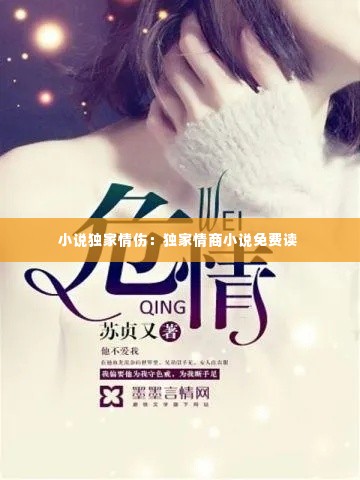 小说独家情伤:独家情商小说免费读