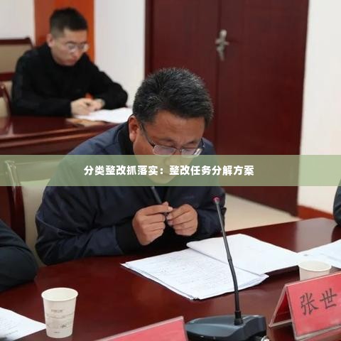 分类整改抓落实：整改任务分解方案 