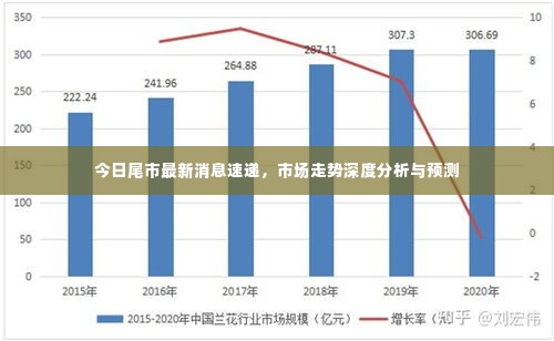今日尾市最新消息速递,市场走势深度分析与预测