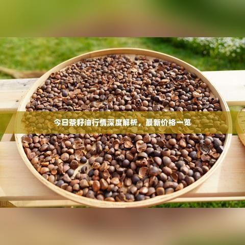 今日茶籽油行情深度解析,最新价格一览
