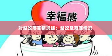 对整改落实情况抓:整改及落实情况