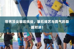 世界顶尖攀岩挑战,攀石技艺与勇气的巅峰对决!