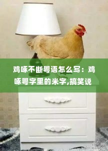 鸡啄不断粤语怎么写：鸡啄粤字里的米字,搞笑说 