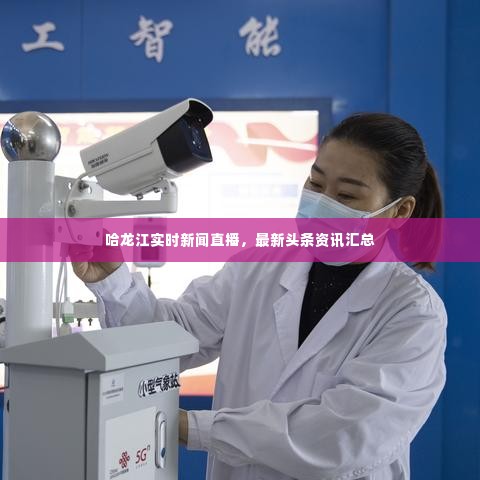 哈龙江实时新闻直播,最新头条资讯汇总