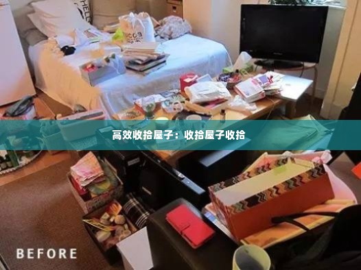 高效收拾屋子：收拾屋子收拾 