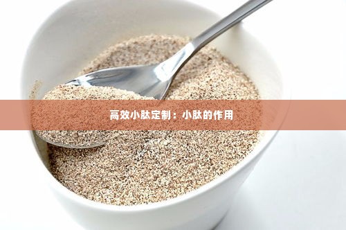 钗荆裙布 第3页