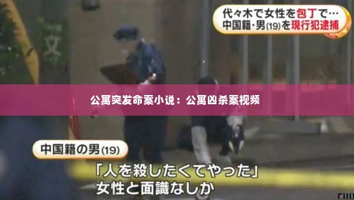 公寓突发命案小说:公寓凶杀案视频