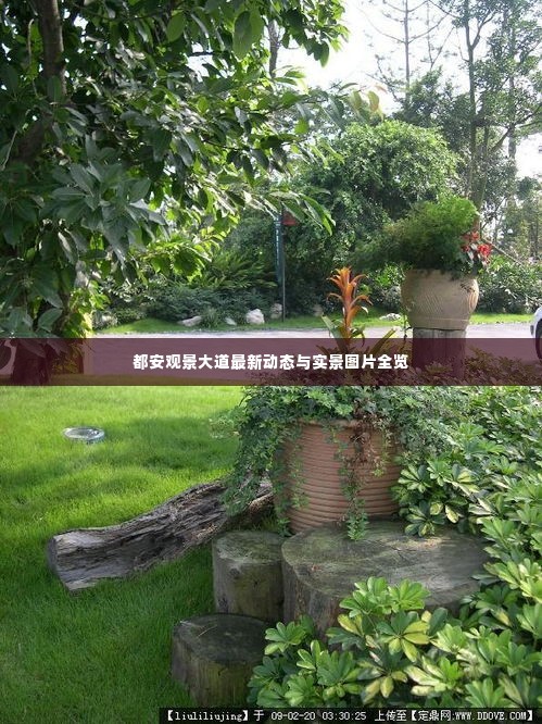 都安观景大道最新动态与实景图片全览