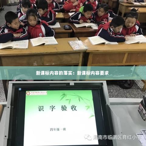 新课标内容的落实:新课标内容要求