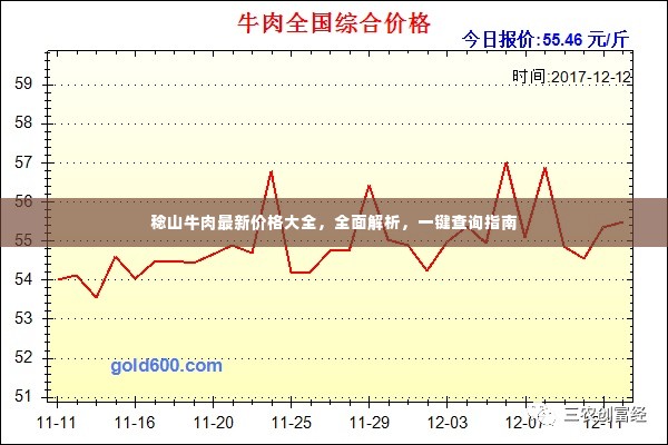 稔山牛肉最新价格大全，全面解析，一键查询指南