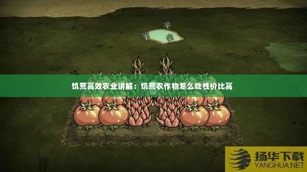饥荒高效农业讲解:饥荒农作物怎么吃性价比高