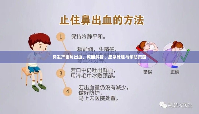 突发严重鼻出血，原因解析、应急处理与预防策略