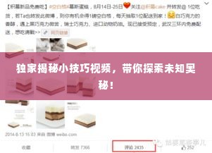 独家揭秘小技巧视频,带你探索未知奥秘!